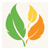 Ed Cameron Tree & Garden Services Logo